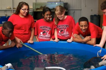 Mayport Middle students huddle excitedly around an aquaponics tank.